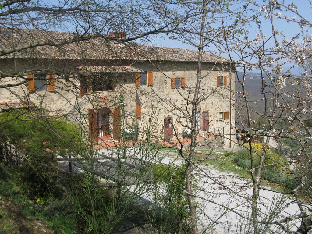 La Ghiandaia Casa Vacanza Lucolena in Chianti Oda fotoğraf