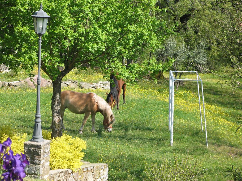 La Ghiandaia Casa Vacanza Lucolena in Chianti Dış mekan fotoğraf