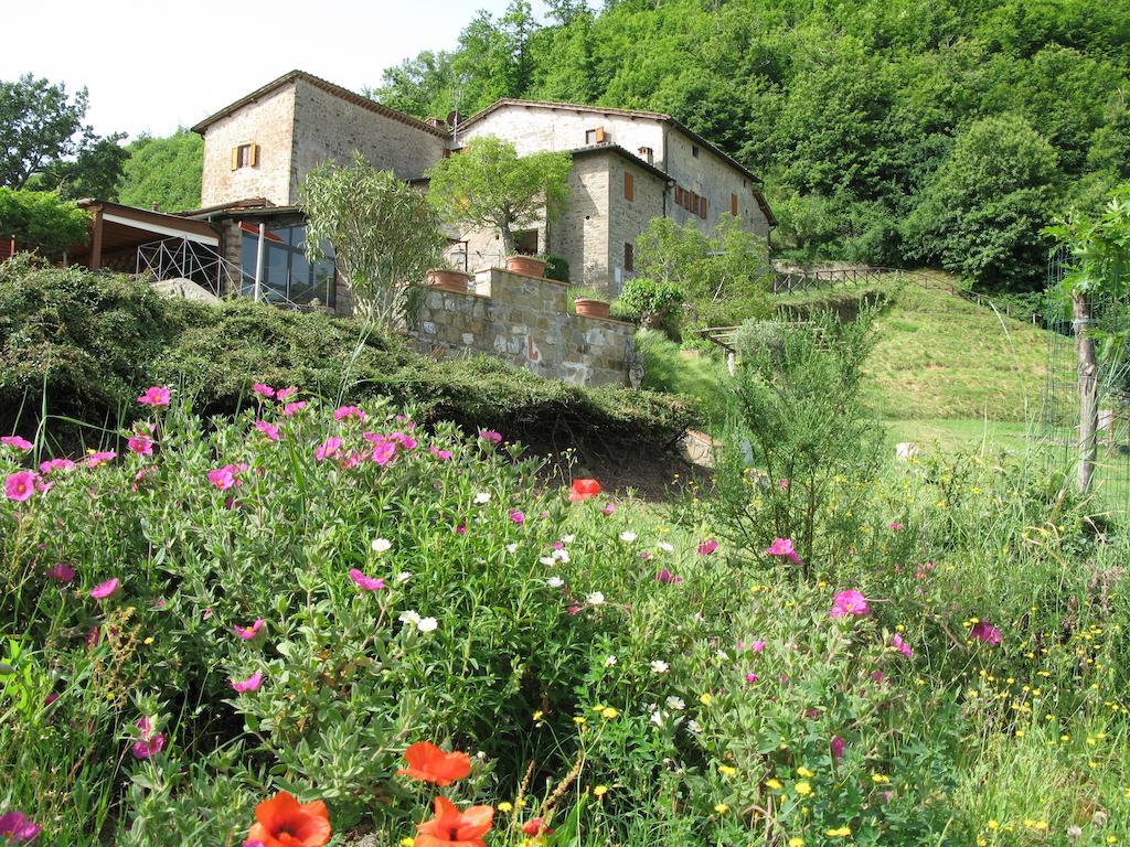 La Ghiandaia Casa Vacanza Lucolena in Chianti Dış mekan fotoğraf